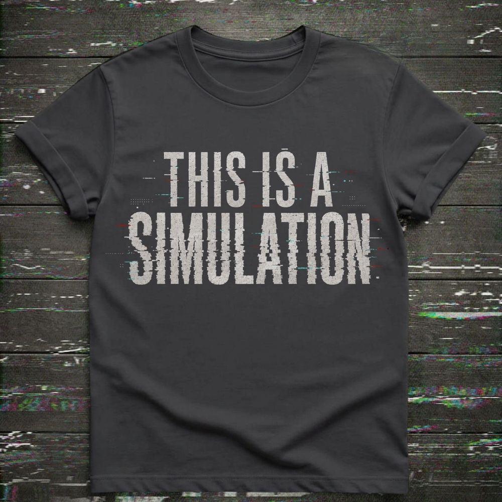 This Is A Simulation