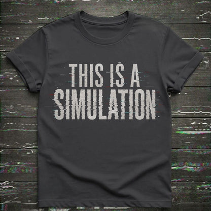 This Is A Simulation